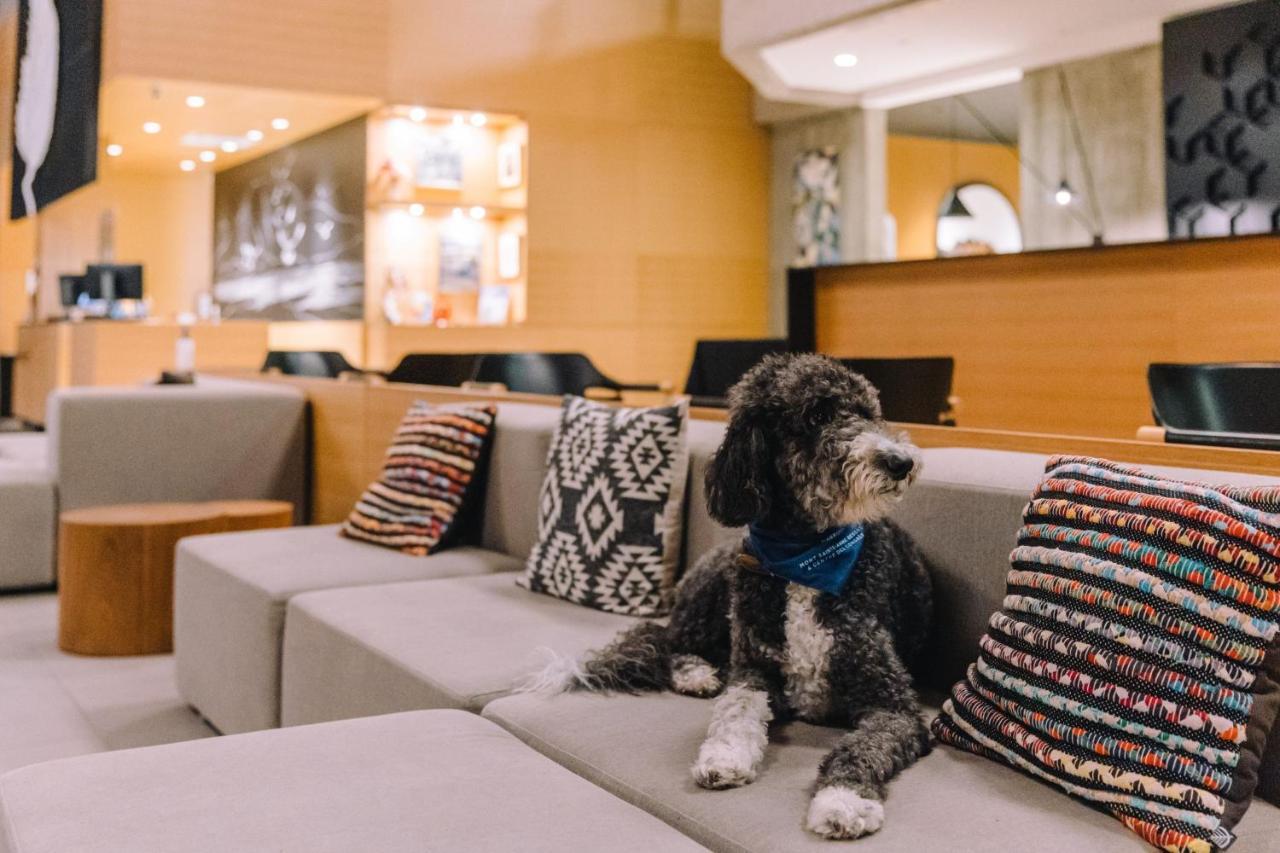 Delta Hotels By Marriott Mont Sainte-Anne, Resort & Convention Center Beaupre Bagian luar foto
